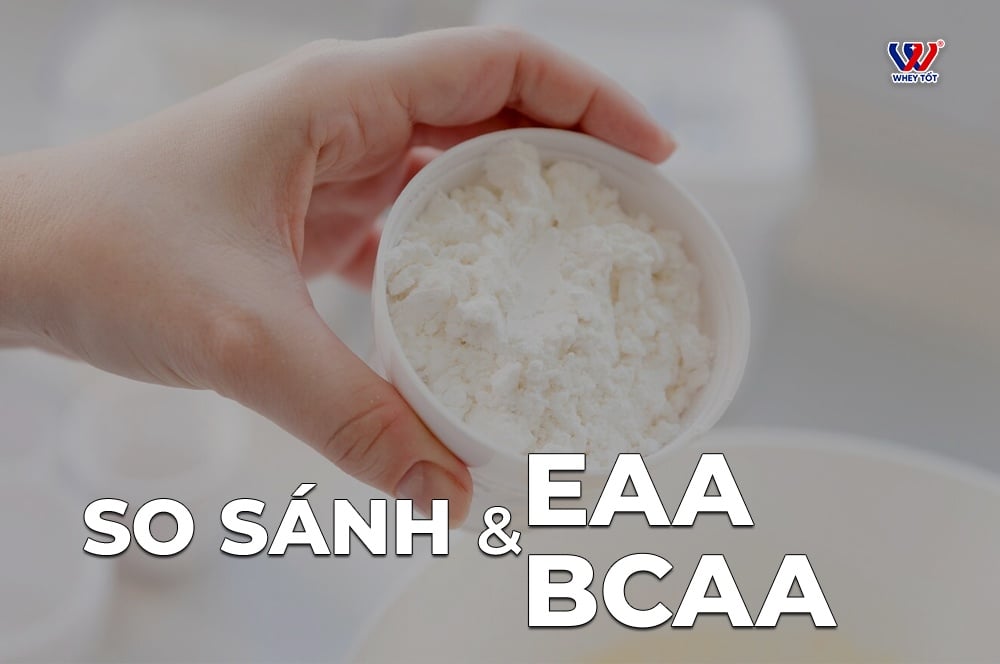 so sánh bcaa eaa