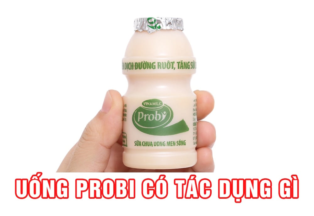 Uống Probi có tác dụng gì