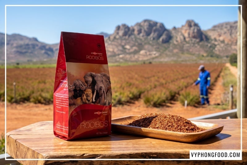 Bao bì trà đặt trên bàn gỗ nguyên khối giữa trang trại trà thảo mộc không caffeine Groenkol Nam Phi