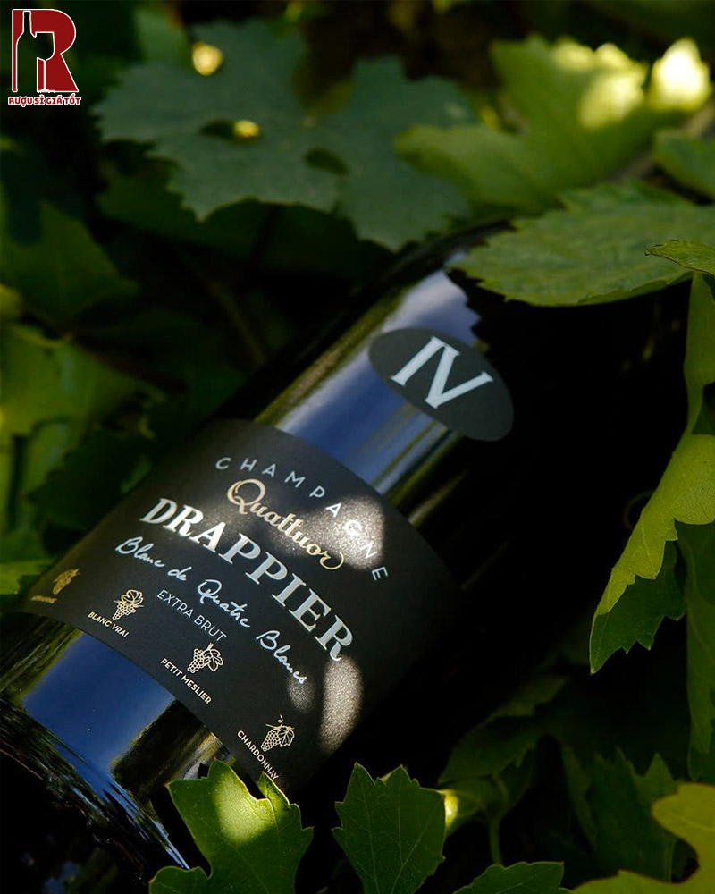 Champagne Drappier Quattuor Blanc De Quatre Blancs Giá Mới Nhất