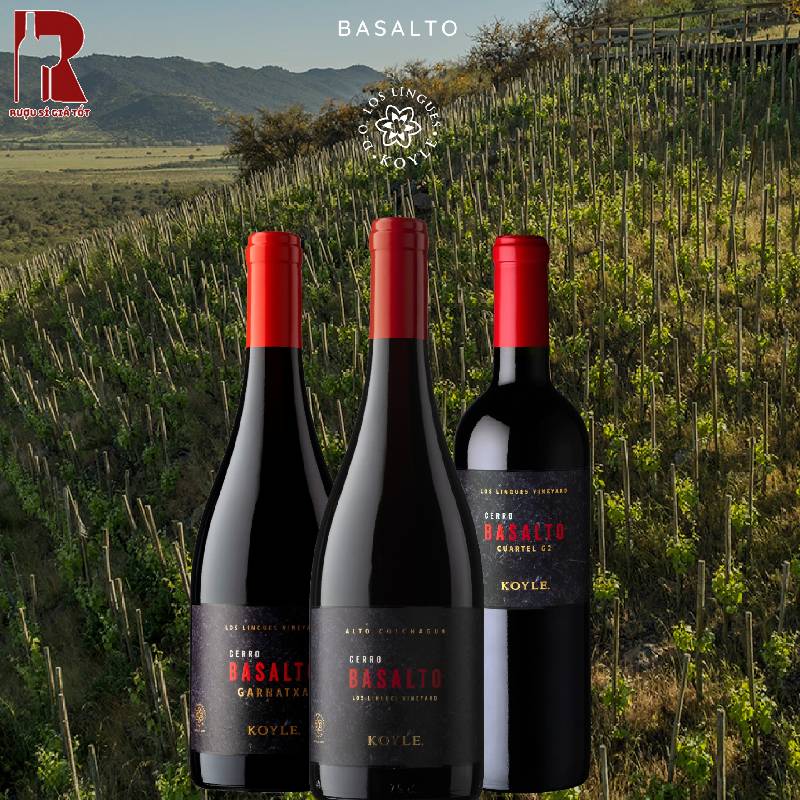 Rượu Vang Chile Đỏ Koyle Cerro Basalto Garnatxa