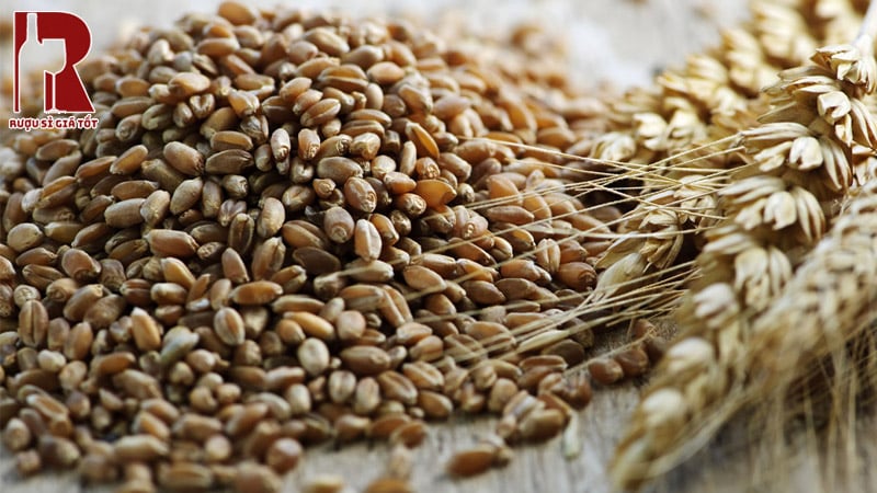 Lúa Mì Vodka Thụy Điển