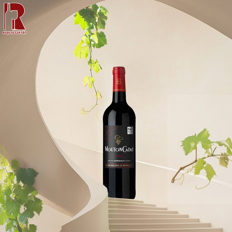 Cách Uống Mouton Cadet Classic Rouge by Baron Philippe de Rothschild