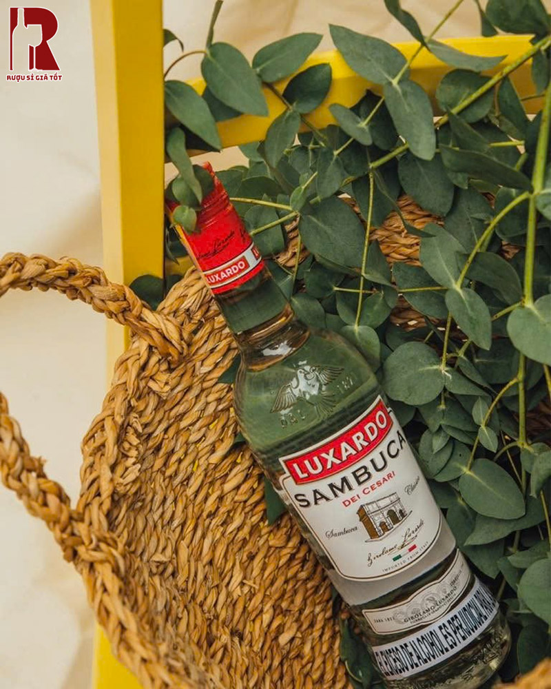 Thiết Kế Chai Rượu Luxardo Sambuca Dei Cesari Sambuca Classica 1L