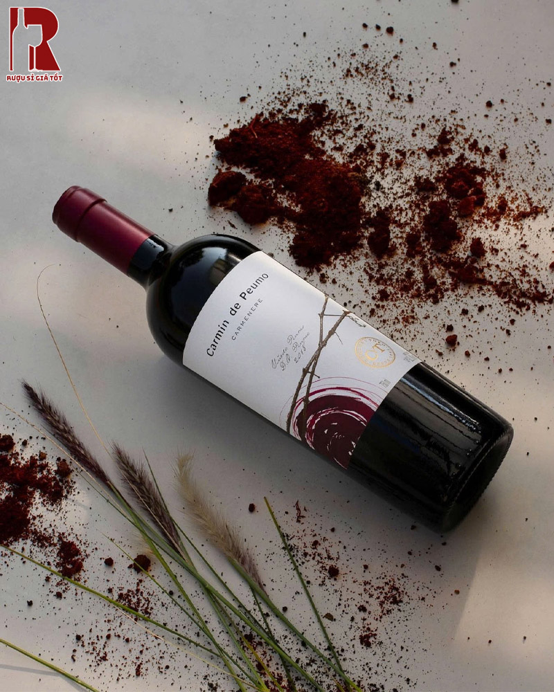 Kết Hợp Ẩm Thực Với Rượu Vang Chile Đỏ Carmin De Peumo Carmenere