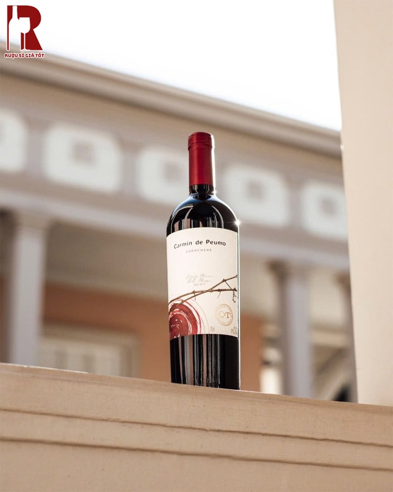 Giá Rượu Vang Chile Đỏ Carmin De Peumo Carmenere Hiện Tại
