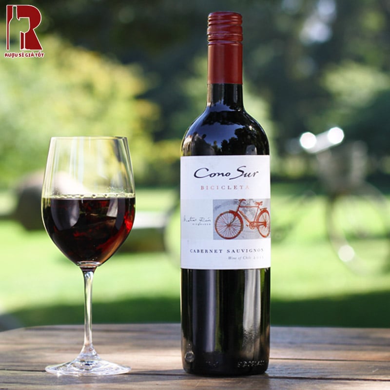 Mua Rượu Vang Chile Đỏ Cono Sur Bicicleta Reserva