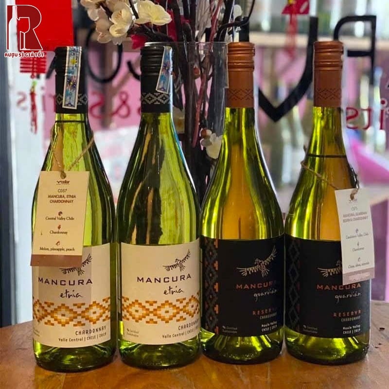 Giá Rượu Vang Chile Trắng Mancura Guardian Reserva Chardonnay