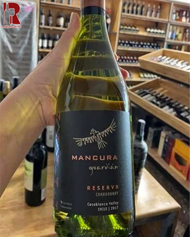 Rượu Vang Chile Trắng Mancura Guardian Reserva Chardonnay Ăn Với Gì?