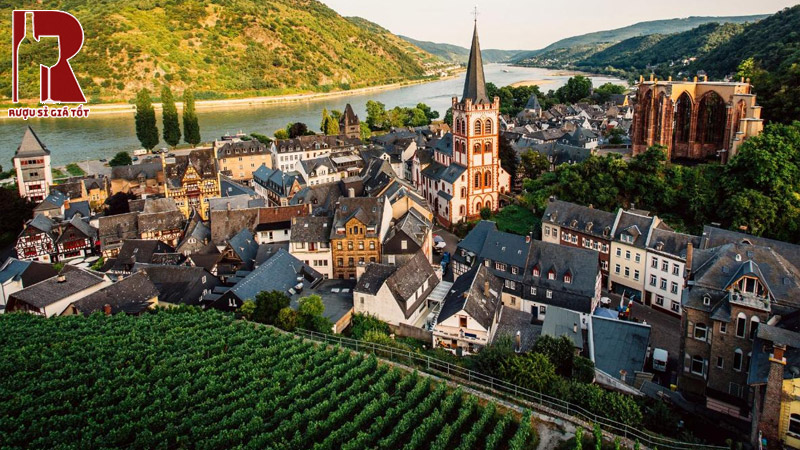 Nhà máy sản xuất rượu vang Đức đáng để tham quan