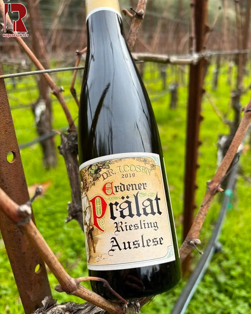 Hương Vị Rượu Vang Đức Trắng Dr Loosen Erdener Pralat Riesling Auslese