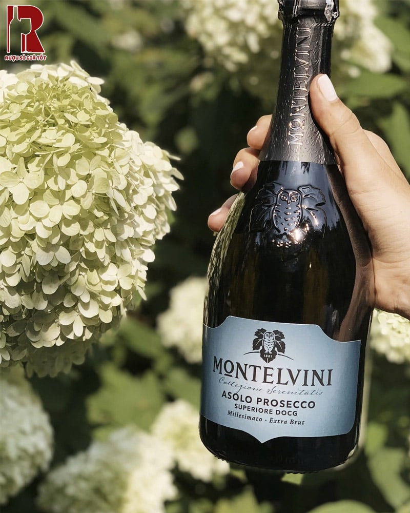 Rượu Vang Nổ Montelvini Prosecco Rose Brut Chất Lượng