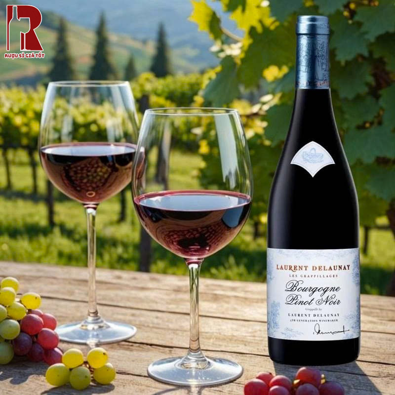 Rượu Vang Pháp Đỏ Laurent Delaunay Bourgogne Pinot Noir Nhập Khẩu