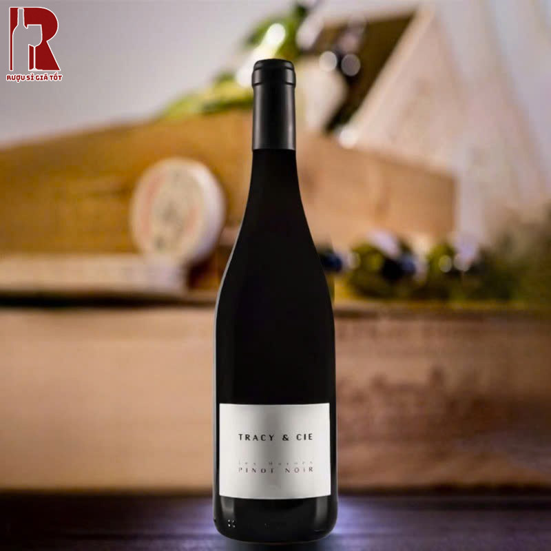 Mua Rượu Vang Pháp Đỏ Tracy & Cie Pinot Noir Val de Loire Chính Hãng