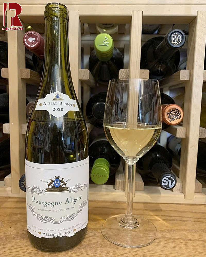 Mua Rượu Vang Pháp Trắng Albert Bichot Bourgogne Aligoté Chất Lượng Cao