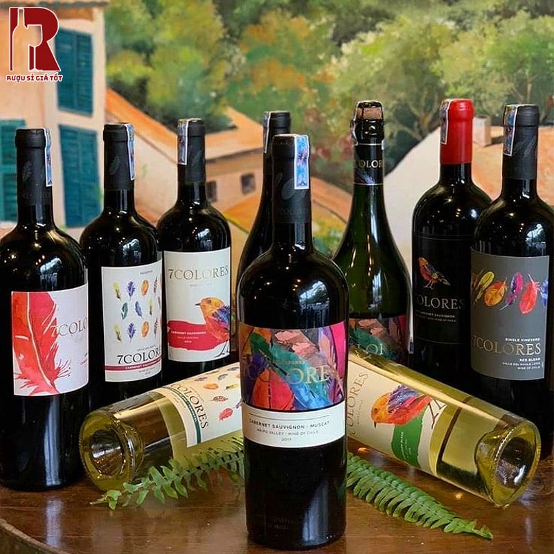 Concha Y toro hay Montes là các thương hiệu rượu Vang Central Valley nổi tiếng