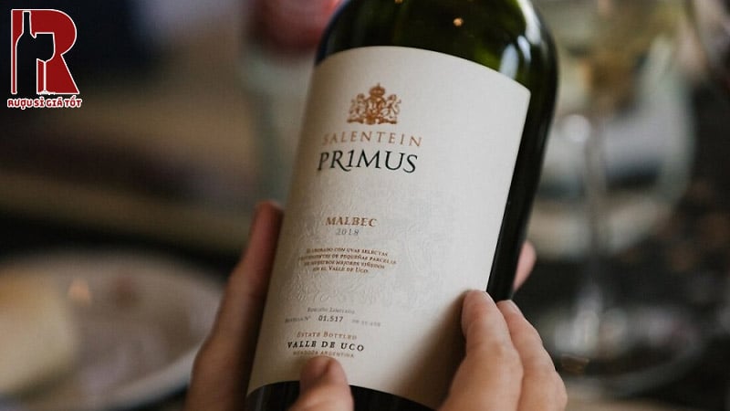 Rượu Vang Mendoza được sản xuất từ các giống nho chủ lực là Malbec hay Bonarda