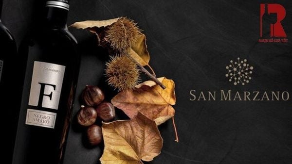 Lịch Sử Lâu Đời Của Nhà Sản Xuất San Marzano