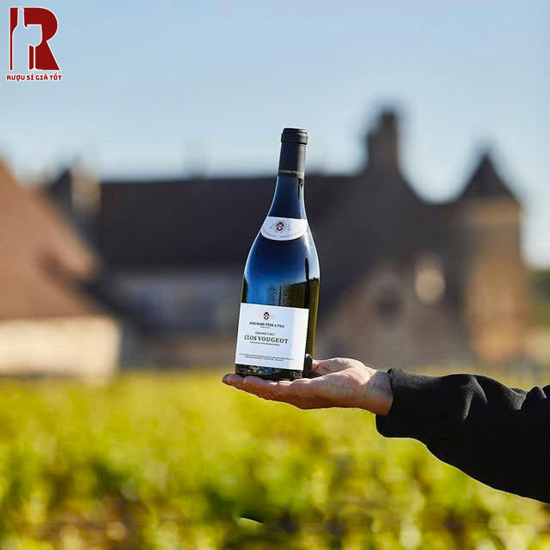 Rượu Vang Pháp Đỏ Bouchard Pere Et Fils Clos De Vougeot Grand Cru Rouge Cao Cấp