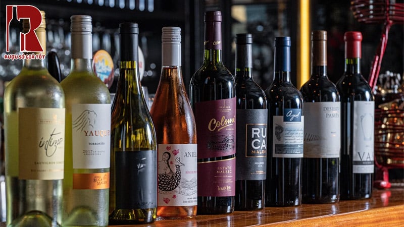 Rượu vang Argentina có dễ uống và phù hợp người mới không?