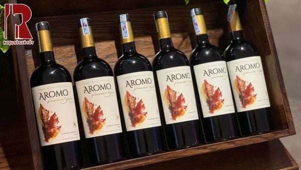 Khám Phá Vùng Làm Vang Maule Valley tại Chile