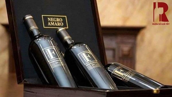 Sự Đa Dạng Của Các Phiên Bản