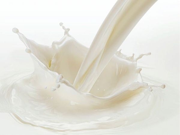 protein-sua