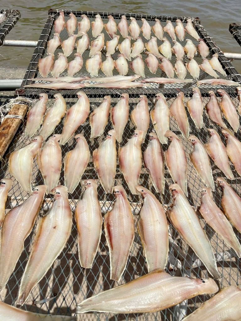 Cá Lưỡi Trâu 1 Nắng