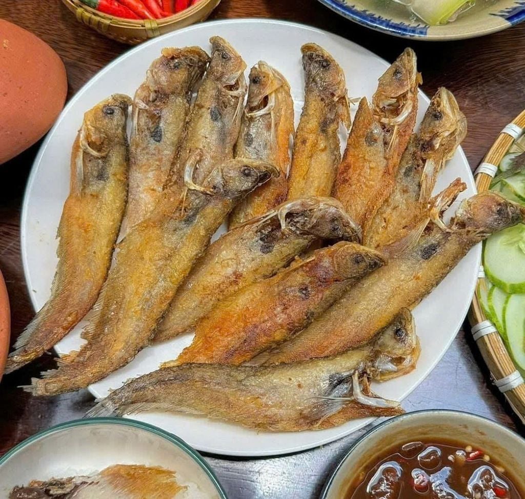 Khô Cá Trèn 3 Nắng