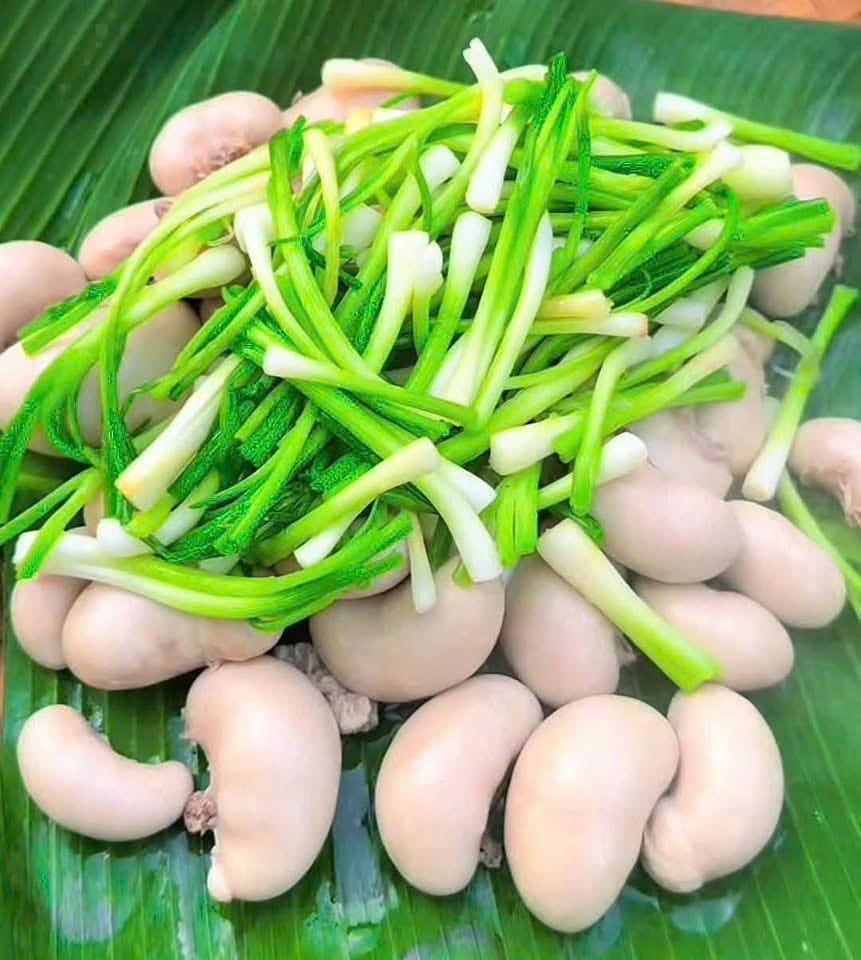 Ngọc Kê Gà Ta