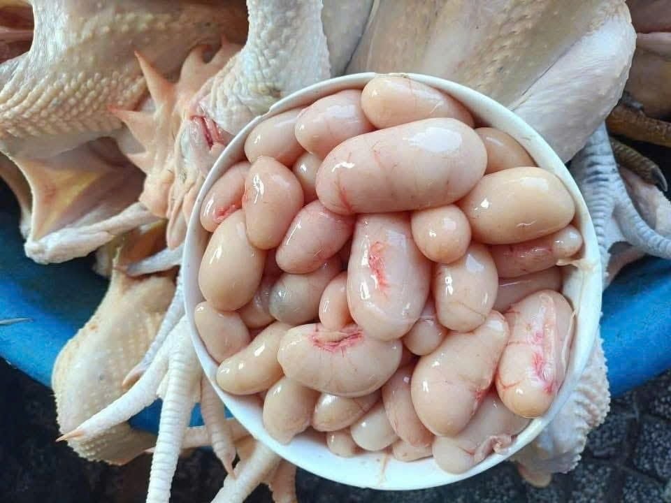 Ngọc Kê Gà Ta