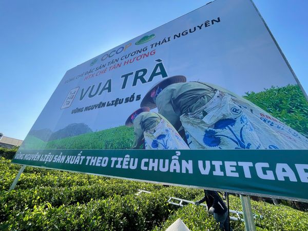 Hình ảnh bài viết