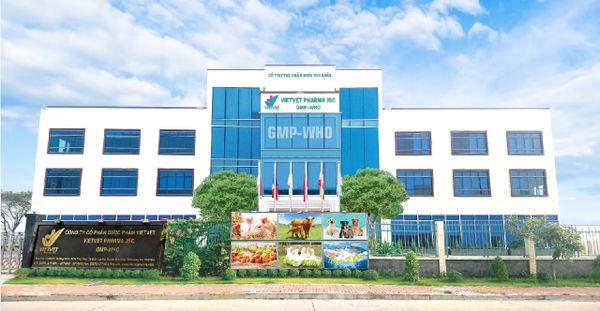 VietVet Pharma JSC – A GMP-WHO Certified Veterinary Medicine Manufacturing Plant in Vietnam