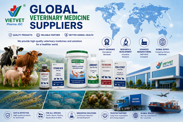 VietVet Pharma JSC – International Animal Healthcare Product Suppliers: What Buyers Need