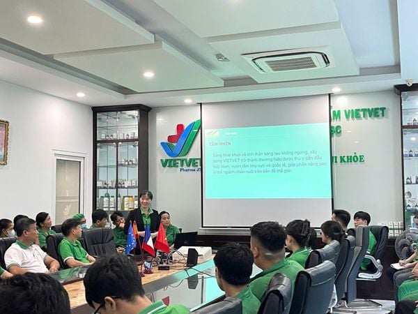 Công ty Cổ phần Dược phẩm VIETVET tổ chức chương trình đào tạo định hướng nhân viên