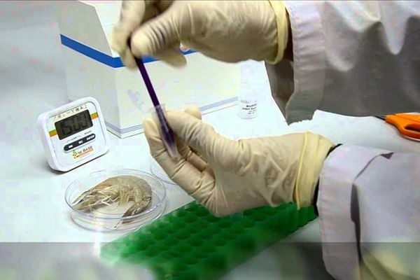 Modern Manufacturing Facilities and Advanced Production Technology