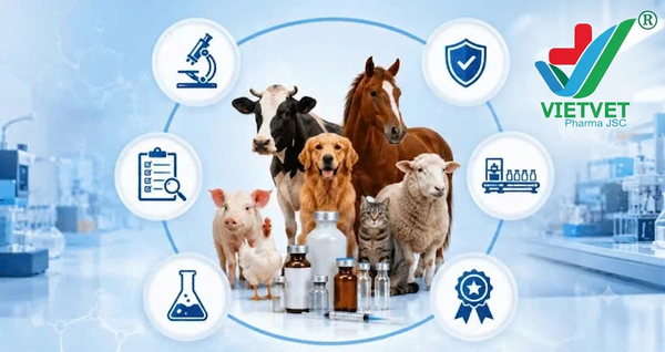Vietvet Pharma – Trusted Veterinary Medicine Manufacturer in Vietnam