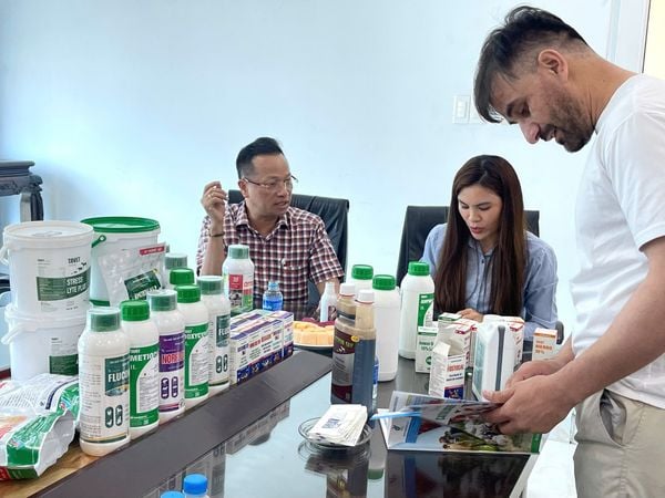 Vietvet – A Trusted Veterinary Medicine Distributor in Vietnam