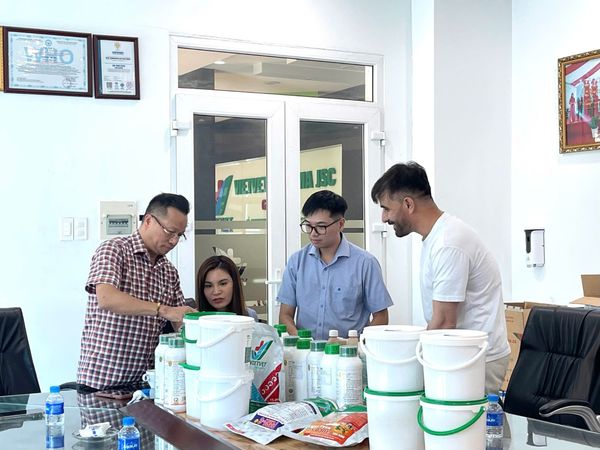 Veterinary Wholesale Suppliers for International Buyers