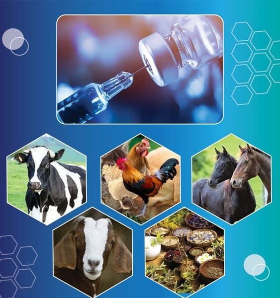 Veterinary medicine in Vietnam - Vietvet Pharma