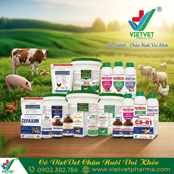 Vietvet Pharma – Trusted Veterinary Medicine Manufacturer in Vietnam