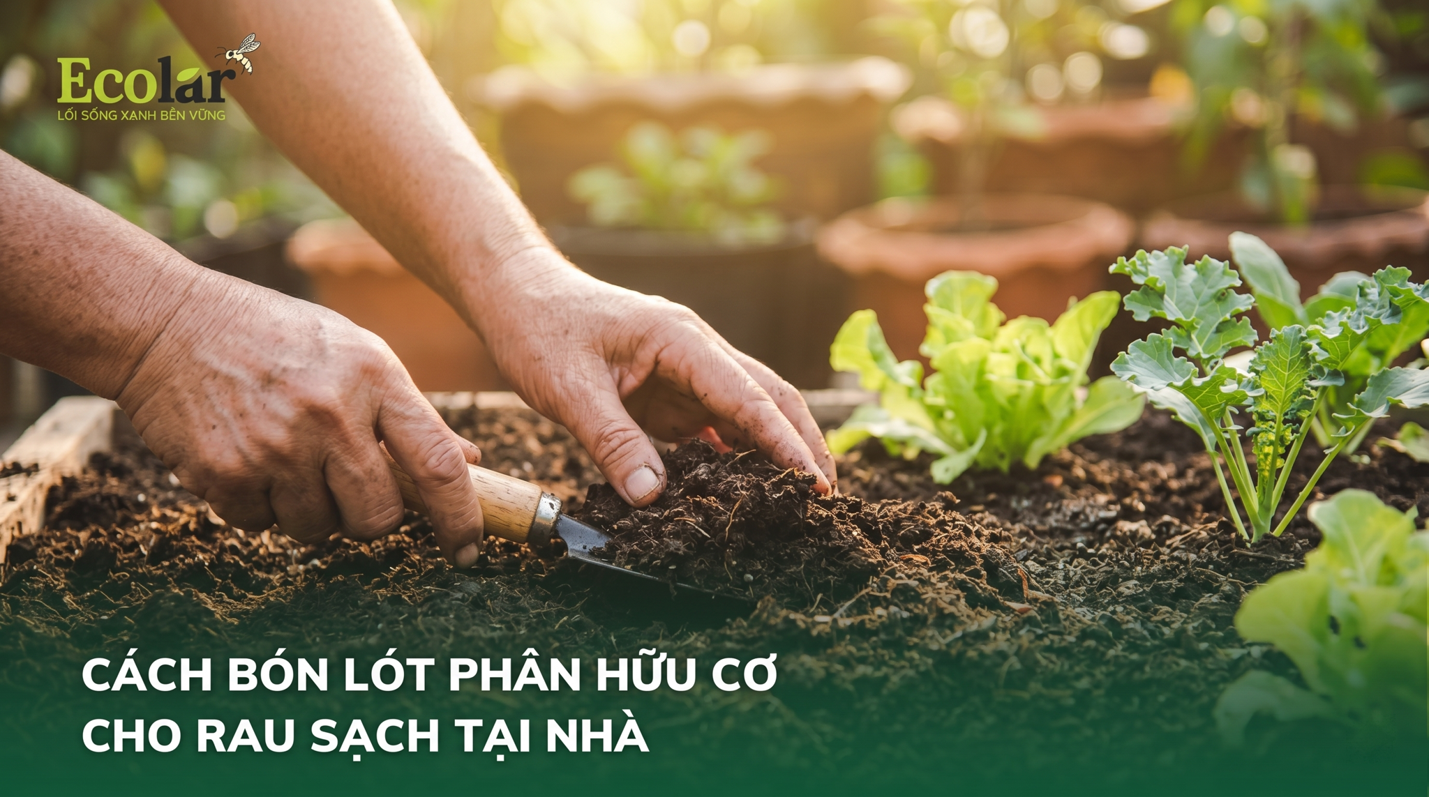 Cách Bón Lót Phân Hữu Cơ Cho Rau Đúng Cách Trước Khi Trồng