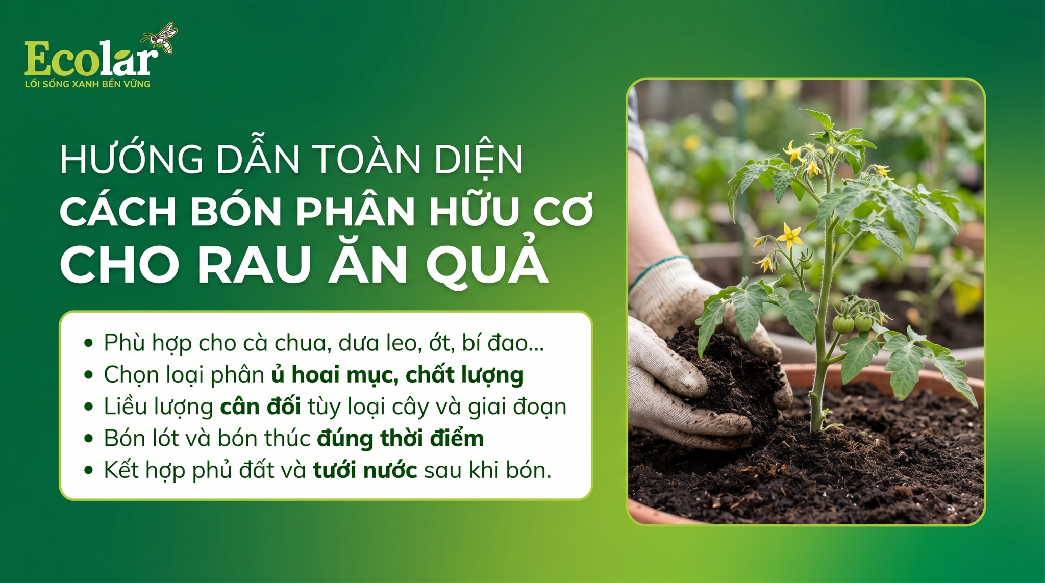 Cách Bón Phân Hữu Cơ Cho Rau Ăn Quả Theo Từng Giai Đoạn Phát Triển