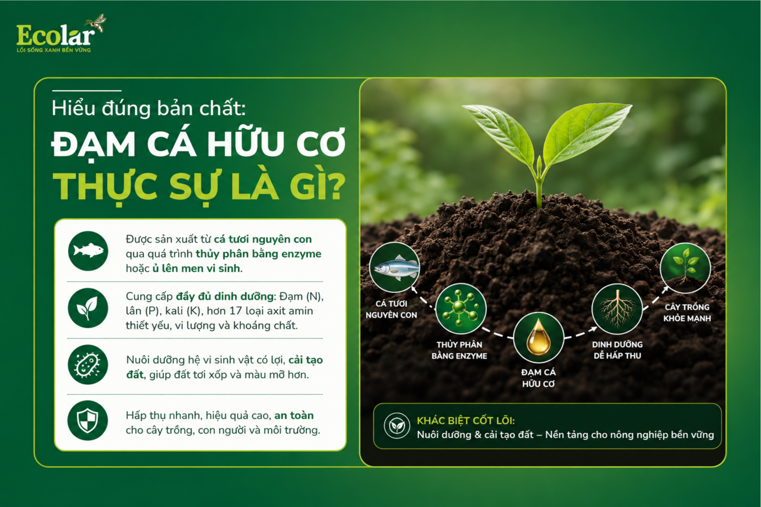 Hiểu Đúng Bản Chất: Đạm Cá Hữu Cơ Thực Sự Là Gì?