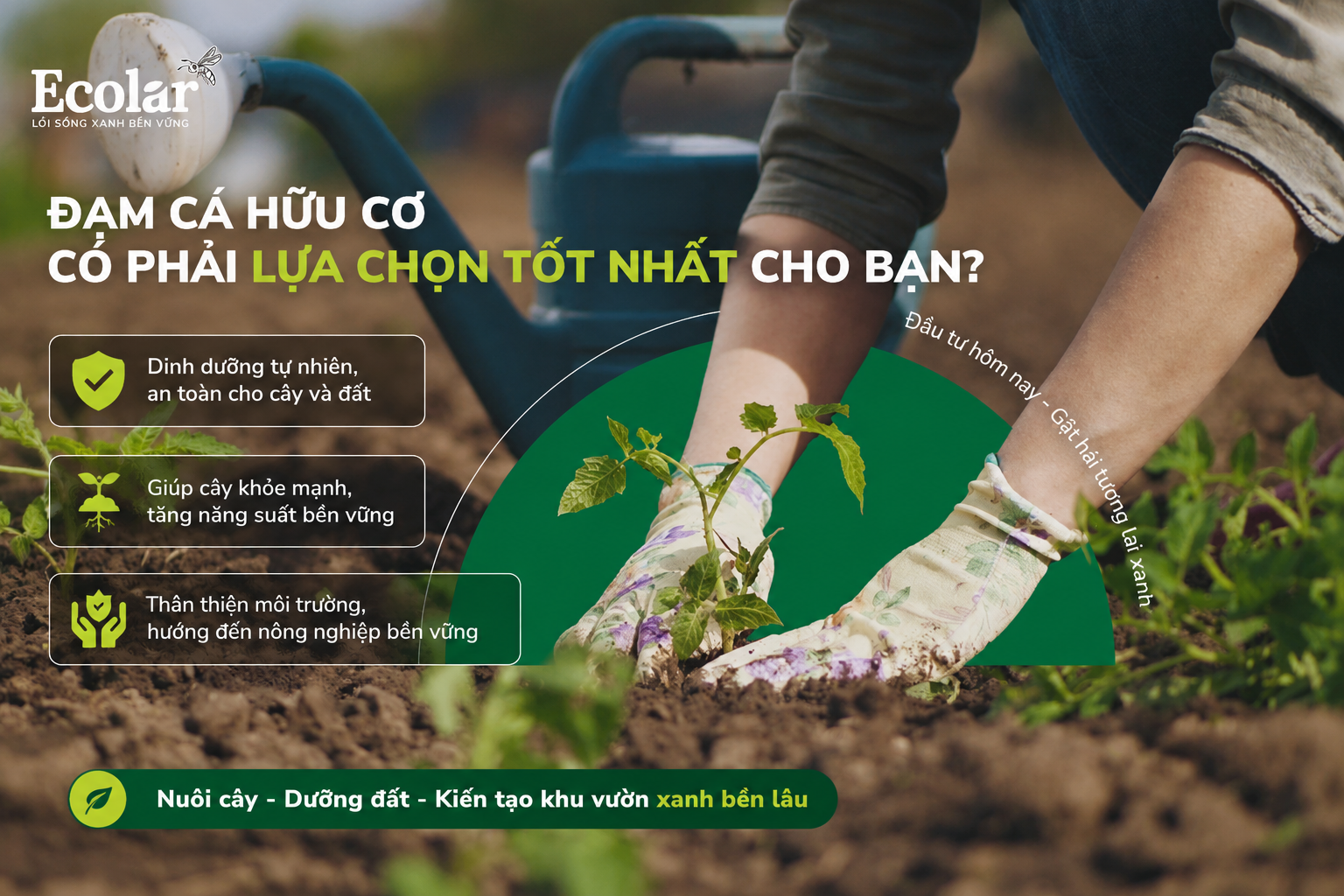 Tổng Kết: Vậy, Đạm Cá Hữu Cơ Có Phải Lựa Chọn Tốt Nhất Cho Bạn?