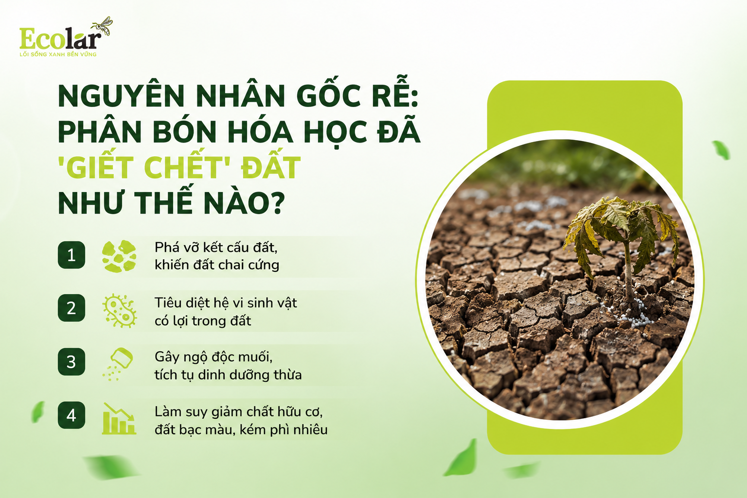 Nguyên Nhân Gốc Rễ: Phân Bón Hóa Học Đã 'Giết Chết' Đất Như Thế Nào?