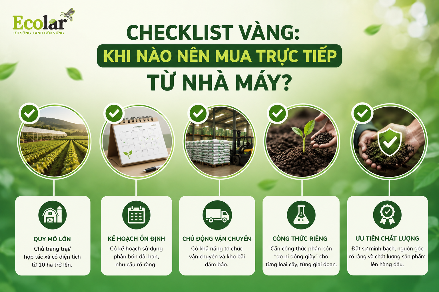 Checklist Vàng: Khi Nào Nên Mua Trực Tiếp Từ Nhà Máy?