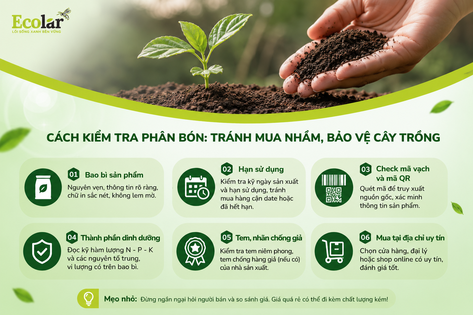 Bonus: Không Chỉ 'Mua Ở Đâu', Mà Còn Là 'Mua Gì'? Cách Chọn Phân Bón Đúng Chuẩn