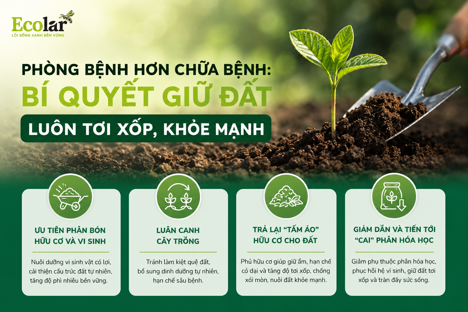 Phòng Bệnh Hơn Chữa Bệnh: Bí Quyết Giữ Đất Luôn Tơi Xốp, Khỏe Mạnh