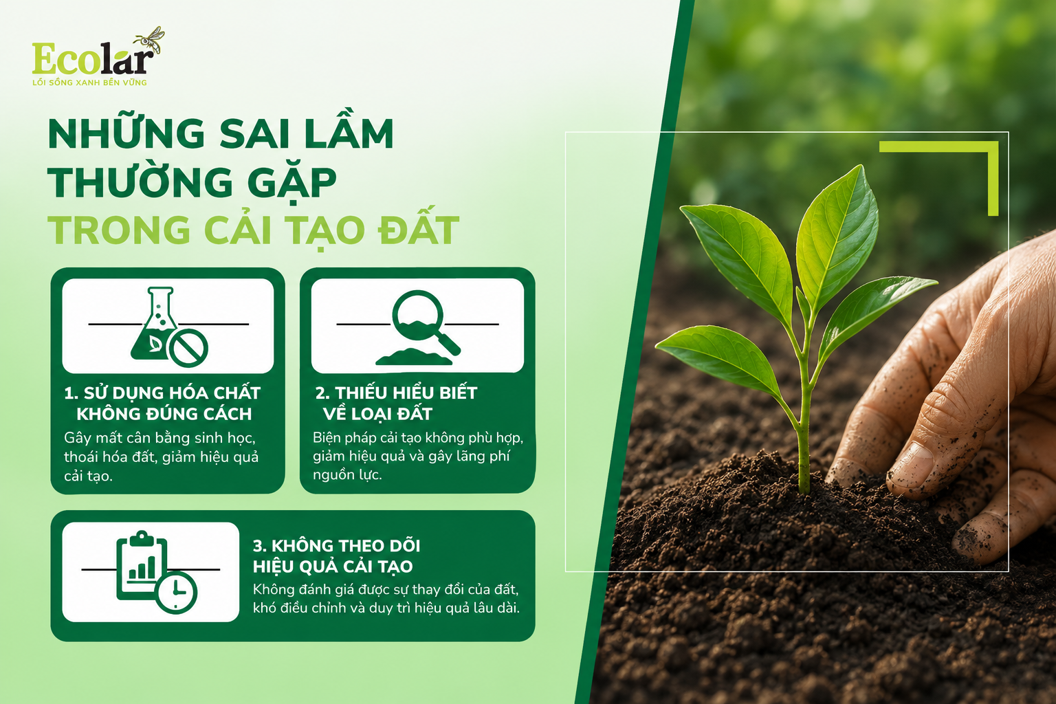 Những Sai Lầm Thường Gặp trong Cải Tạo Đất